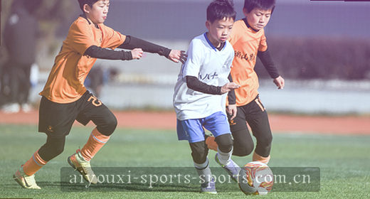 理性对比取舍 现场观察节奏